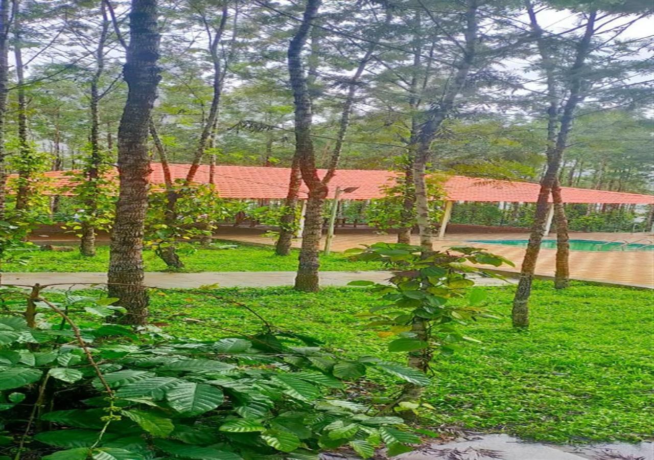 Water View Holiday Retreat สากเลศปุระ ภายนอก รูปภาพ